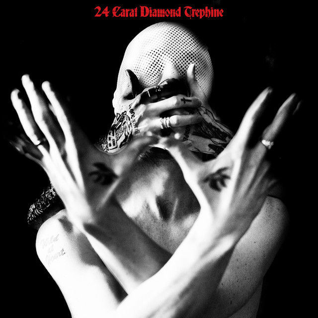24 Carat Diamond Trephine album cover