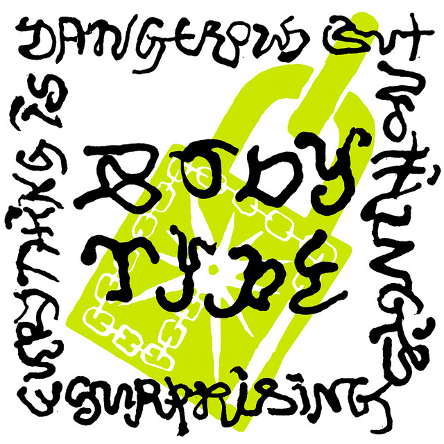 Everything Is Dangerous But Nothing's Surprising album cover