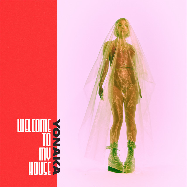 Welcome To My House album cover