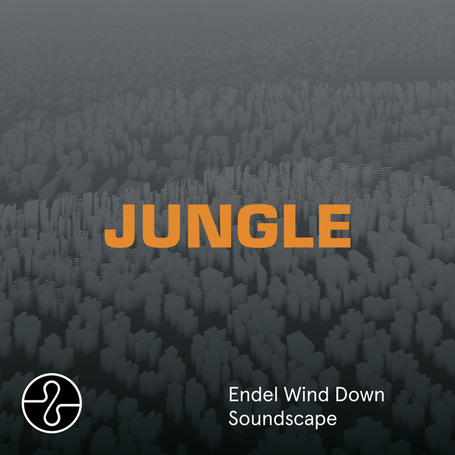JUNGLE (Wind Down Soundscape) album cover