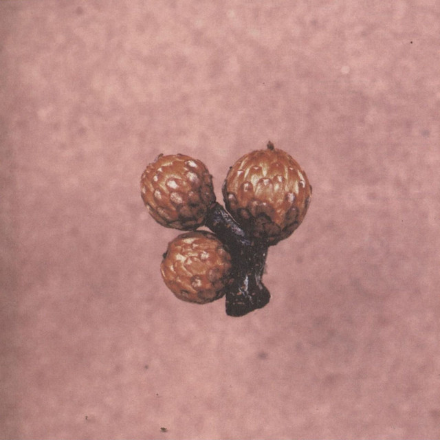 Und Die Scheiße Ändert Sich Immer album cover