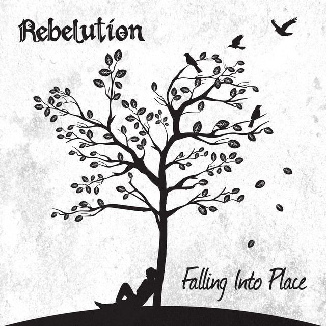 Falling into Place album cover