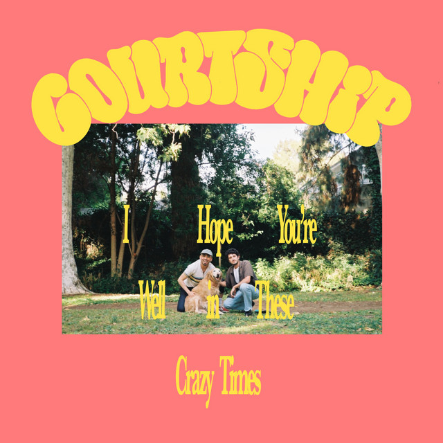 I hope you're well in these crazy times album cover