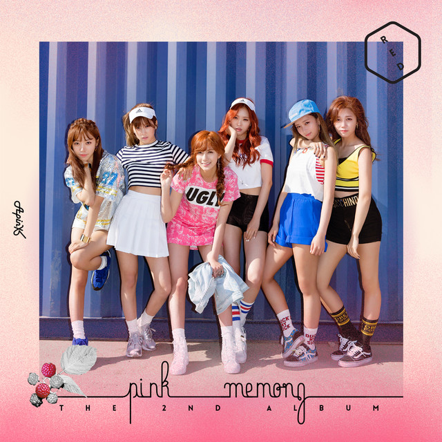 Pink MEMORY album cover