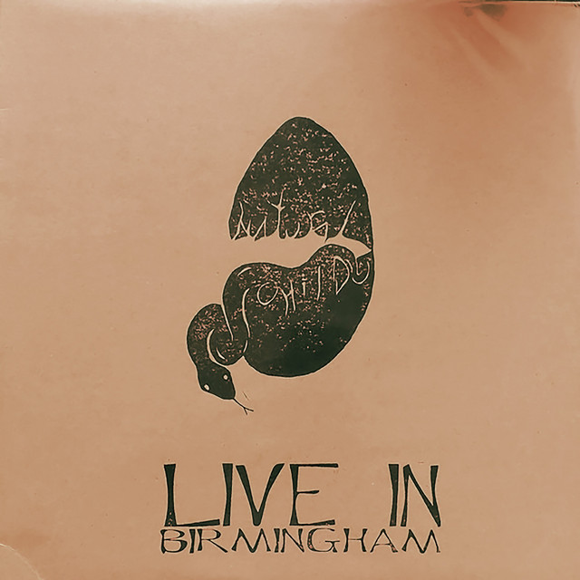 Live in Birmingham 5/17/2013 album cover