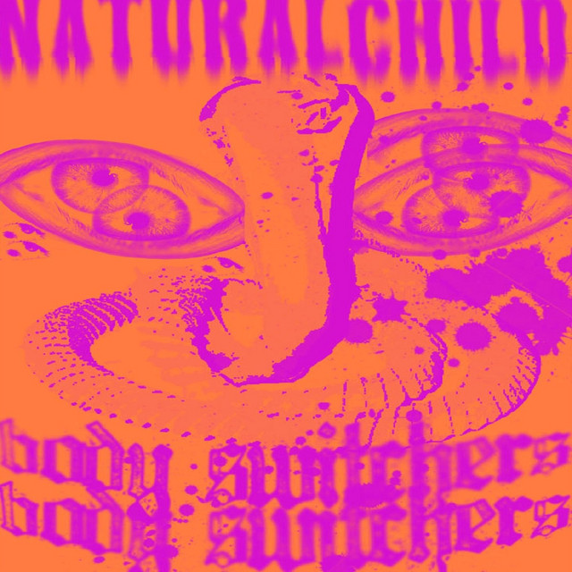 Bodyswitchers album cover