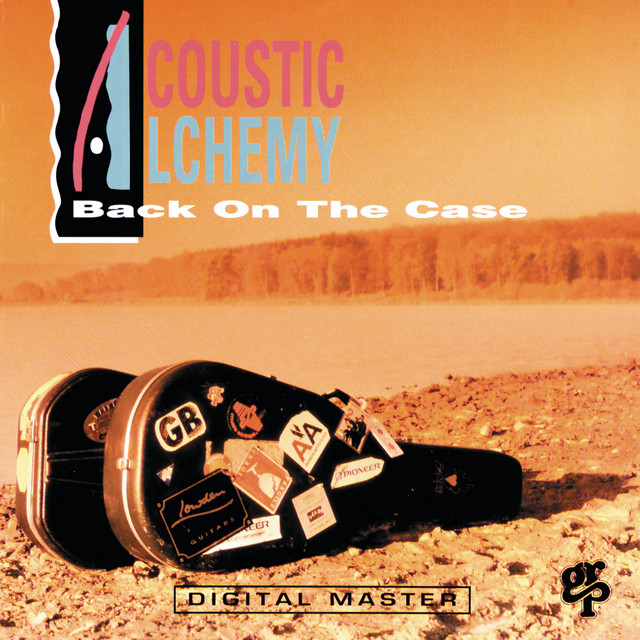 Back On The Case album cover