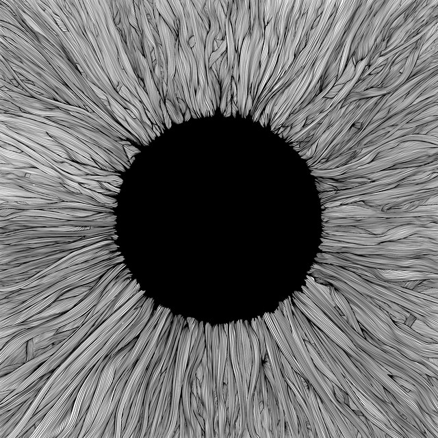 Witness album cover
