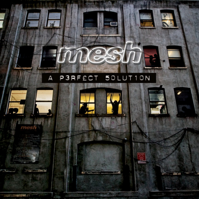 A Perfect Solution album cover