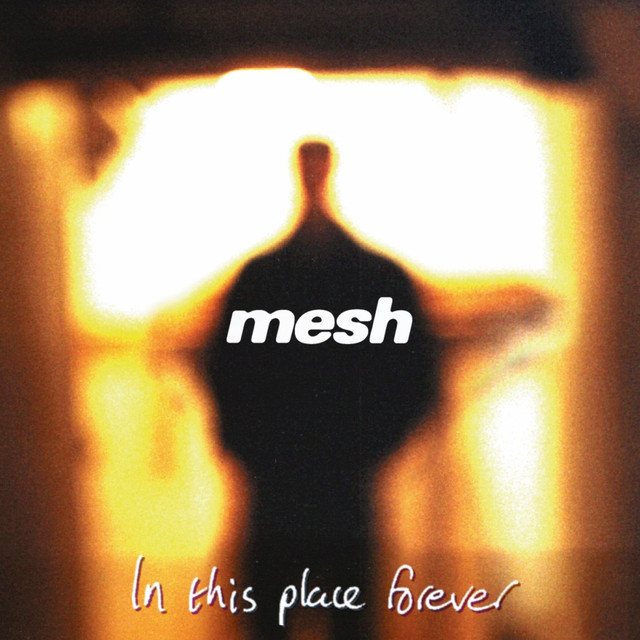 In This Place Forever album cover