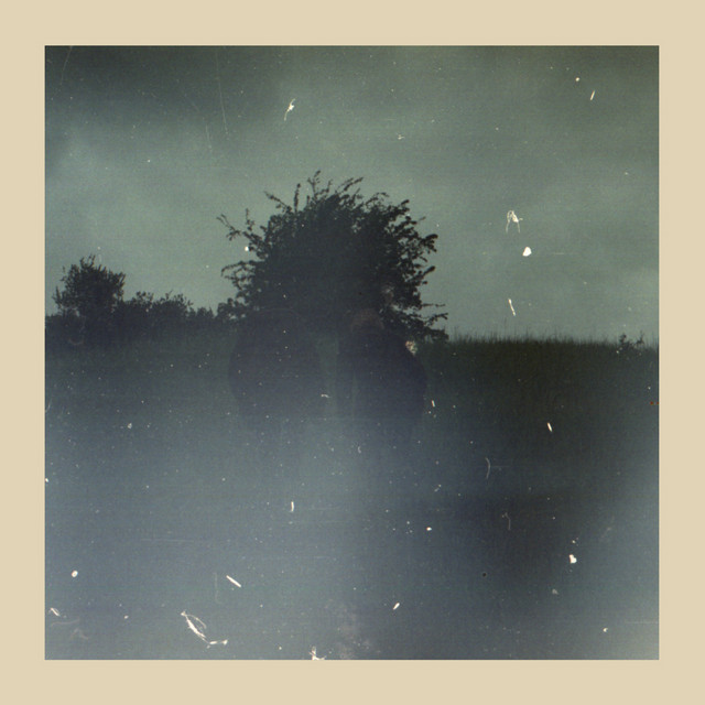 Forsvinder album cover