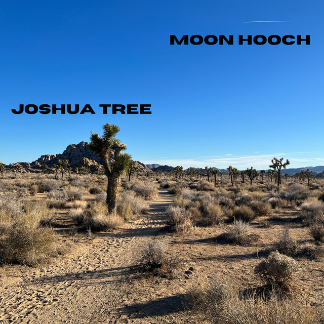 Joshua Tree album cover