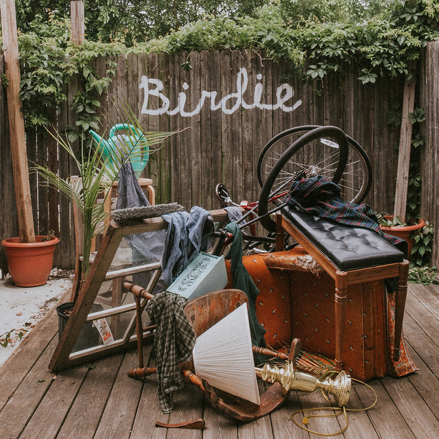 Cameltone Nard as heard on Birdie by Slaughter Beach, Dog (2017)