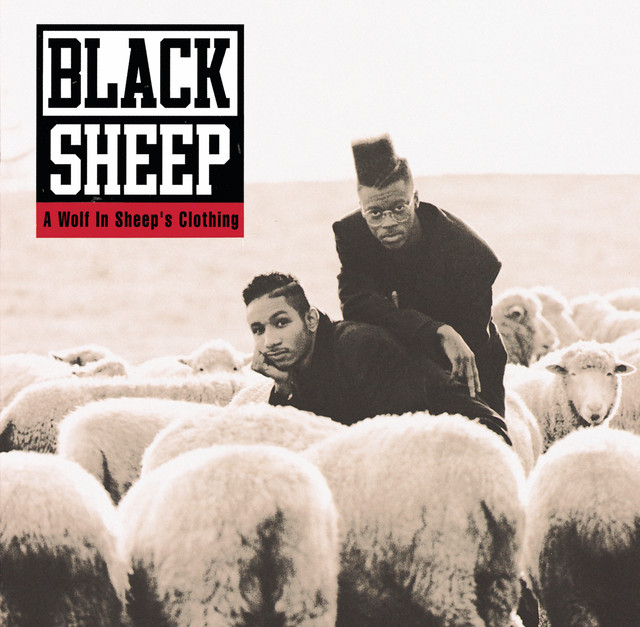 A Wolf In Sheep's Clothing album cover