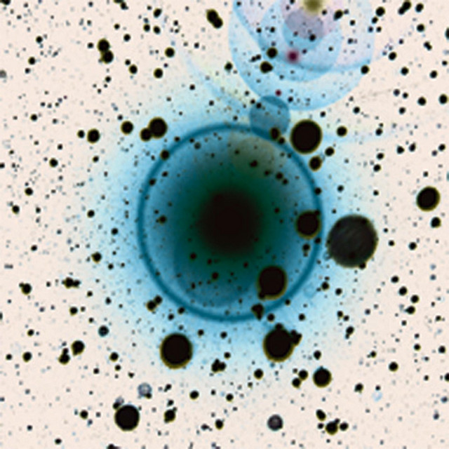 Simple Science album cover