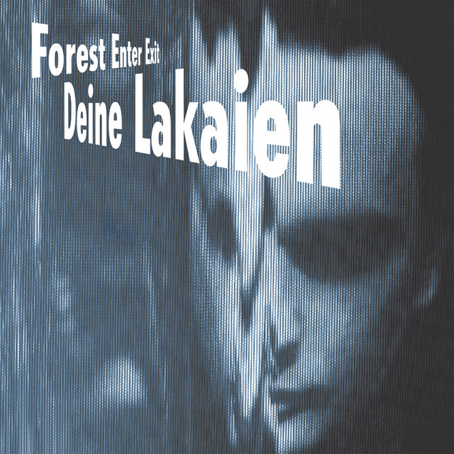 Forest Enter Exit album cover