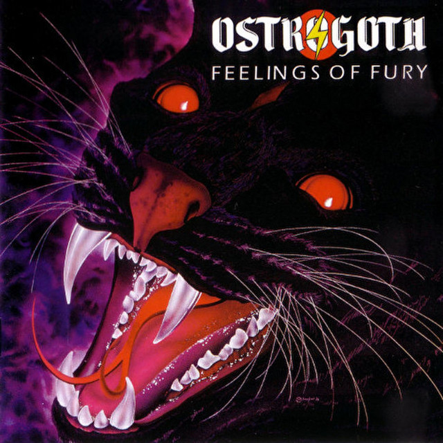 Feelings of Fury album cover