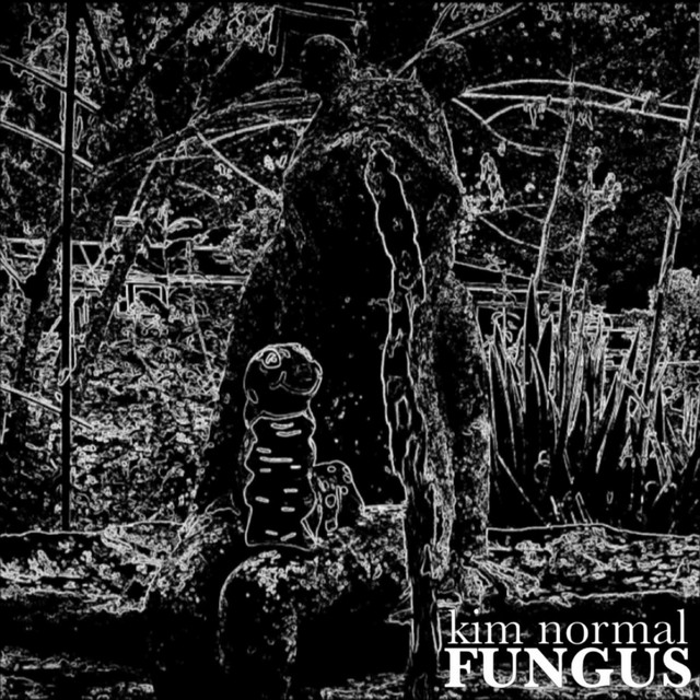 Joyo JF-02 Ultimate Drive as heard on Fungus by Kim Normal (2017)