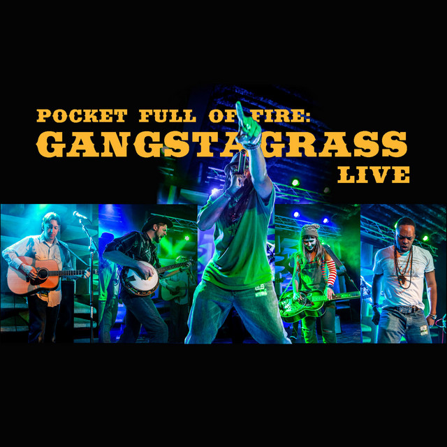 Pocket Full of Fire: Gangstagrass album cover