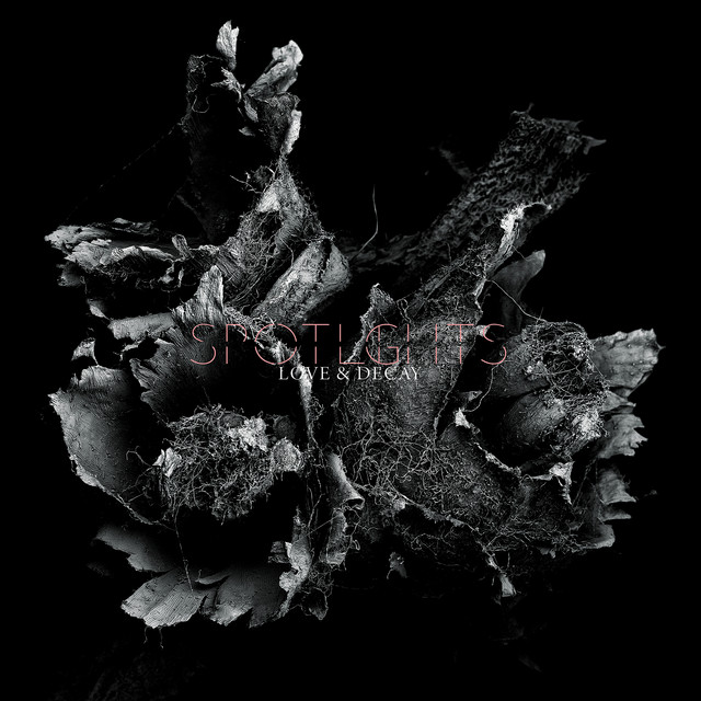 Love & Decay album cover