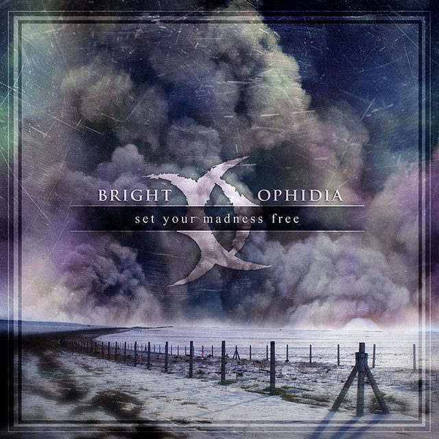Set Your Madness Free album cover