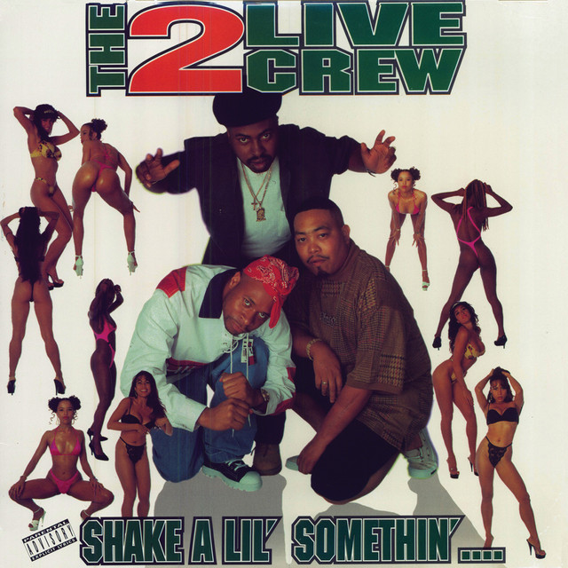 Shake A Lil' Somethin' Remixes album cover