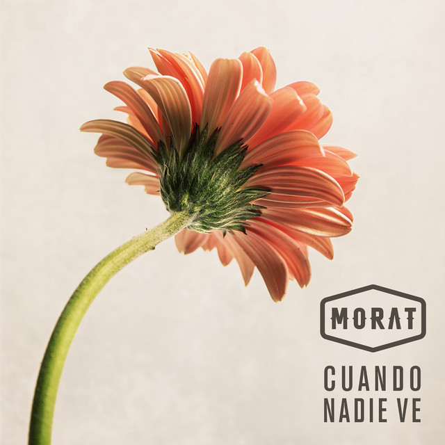 Gibson J-45 as heard on Cuando Nadie Ve by Morat (2018)