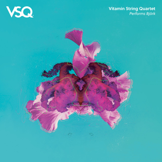 Vitamin String Quartet Performs Bjork album cover