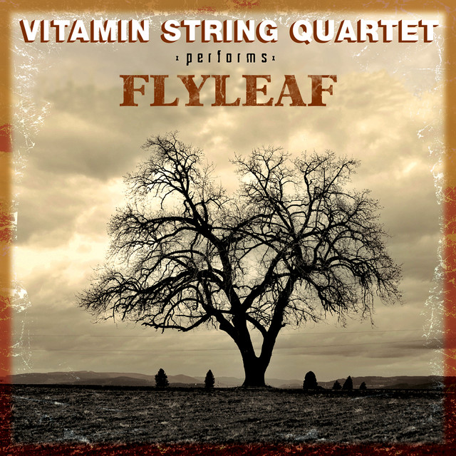 Vsq Performs Flyleaf album cover