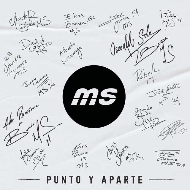PUNTO Y APARTE album cover