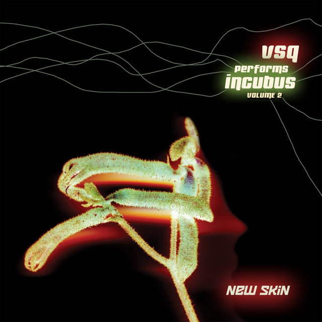 Vsq Performs Incubus, Vol. 2: New Skin album cover