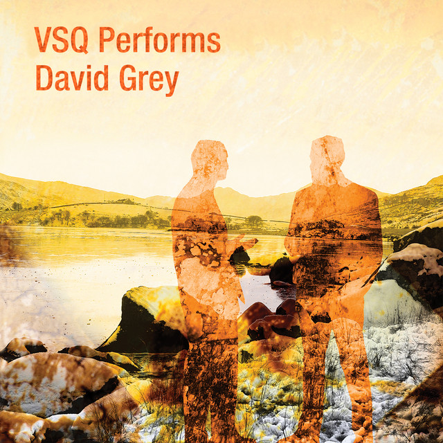 VSQ Performs David Gray album cover