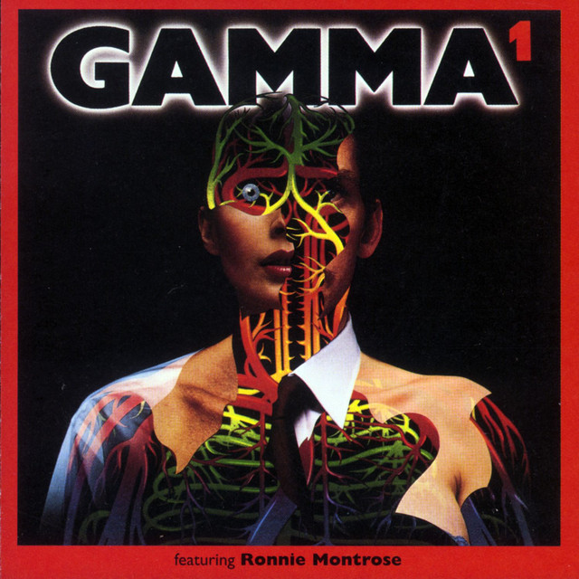 Moog 16 Channel Vocoder as heard on Gamma 1 by Gamma (1979)