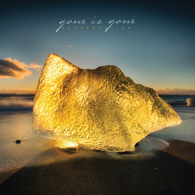 Moog Lap Steel as heard on Echolocation by Gone Is Gone (2017)