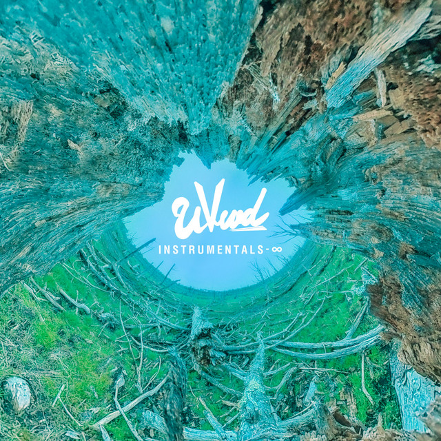 INSTRUMENTALS-∞ album cover