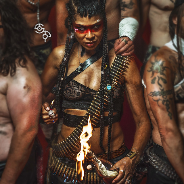Shaka Ponk album cover