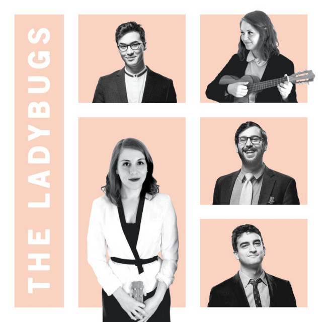 The Ladybugs album cover