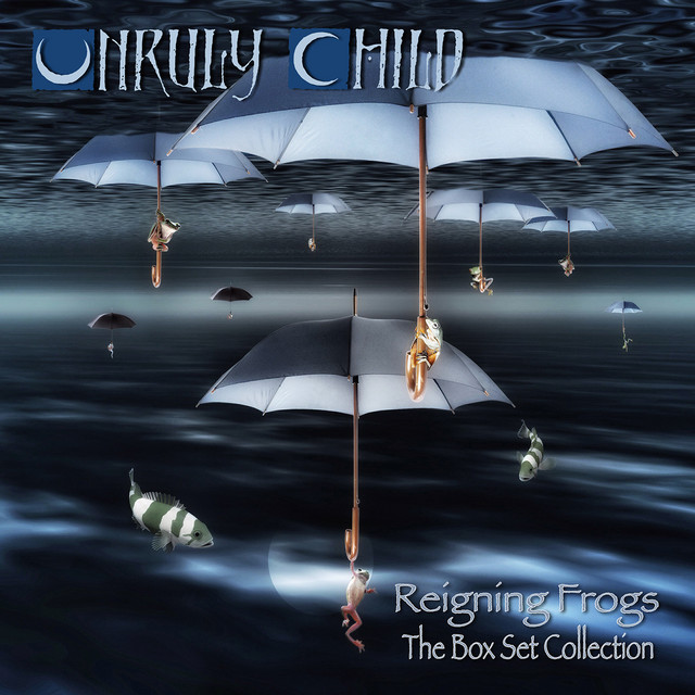 Reigning Frogs - The Box Set Collection album cover