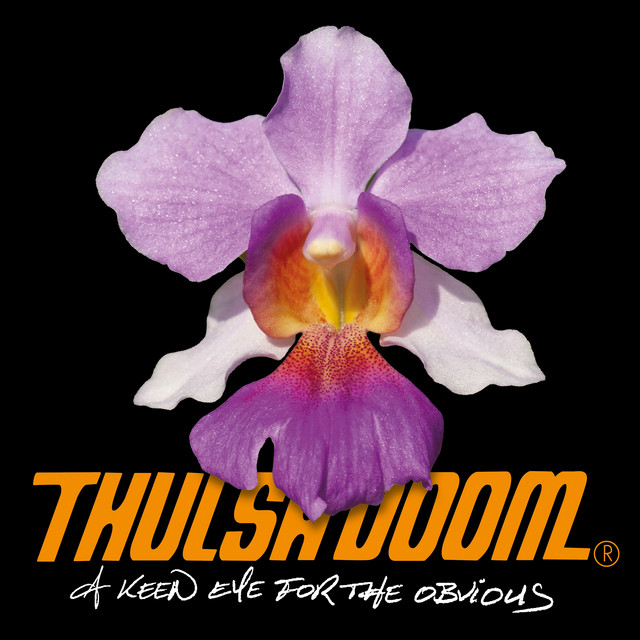 A Keen Eye for the Obvious album cover