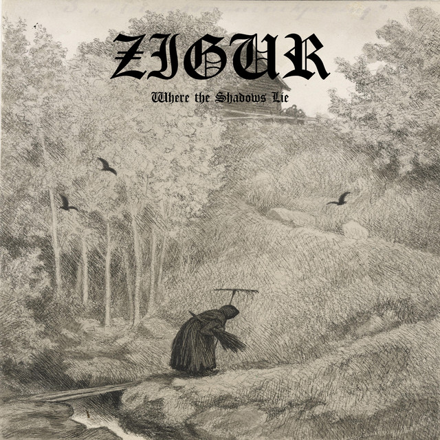 Where the Shadows Lie album cover