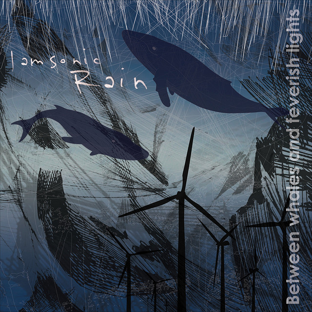Between Whales And Feverish Lights album cover