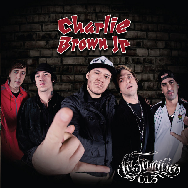 Mesa/Boogie Bass 400+ Amp Head as heard on La Familia 013 by Charlie Brown Jr. (2013)