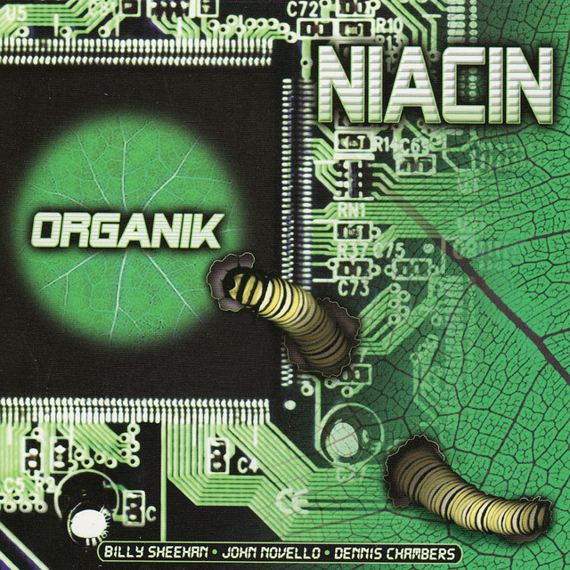 Organik album cover