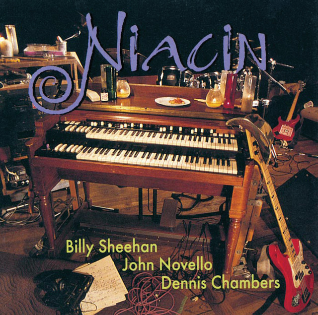 Niacin album cover