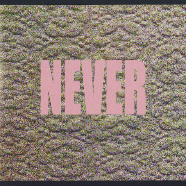 Never album cover