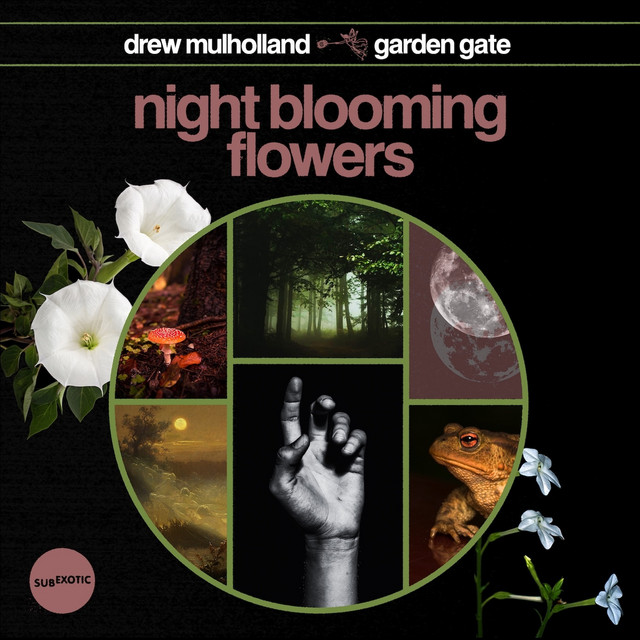 Night Blooming Flowers album cover