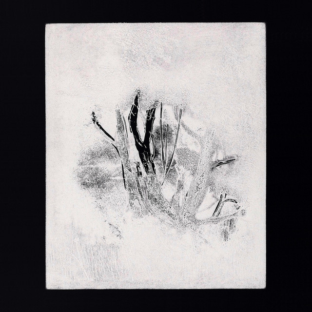 Collections 1 album cover