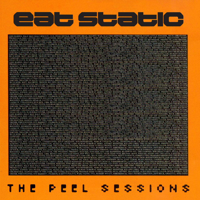 The Peel Sessions album cover