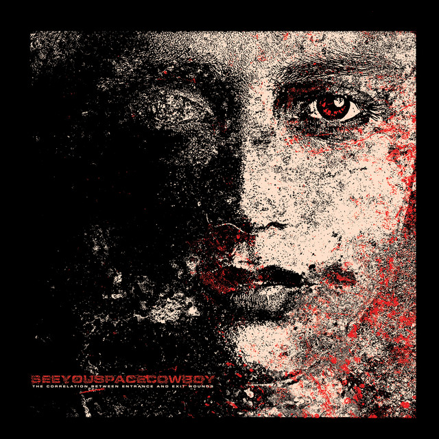 The Correlation Between Entrance and Exit Wounds album cover