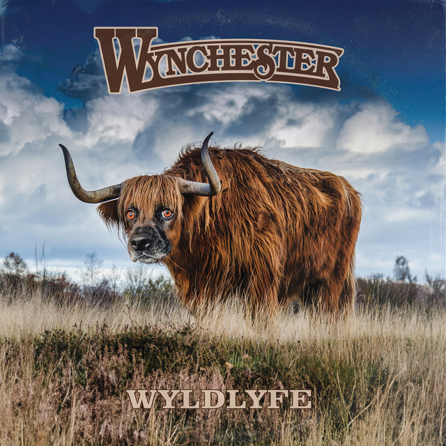 Wyldlyfe album cover